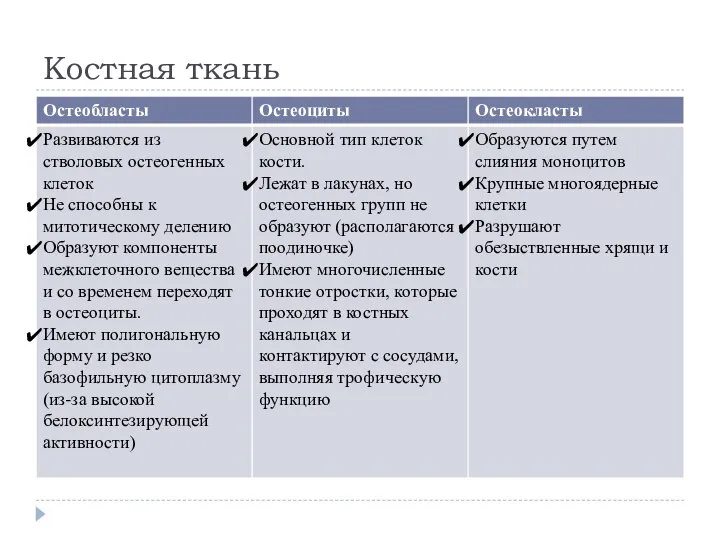 Костная ткань