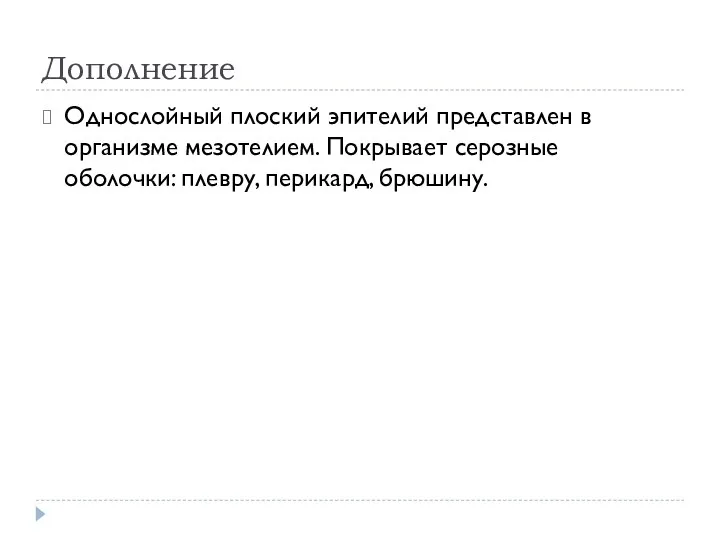 Дополнение Однослойный плоский эпителий представлен в организме мезотелием. Покрывает серозные оболочки: плевру, перикард, брюшину.