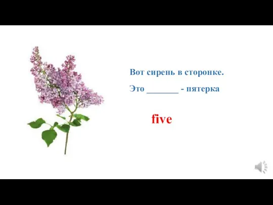 Вот сирень в сторонке. Это _______ - пятерка five