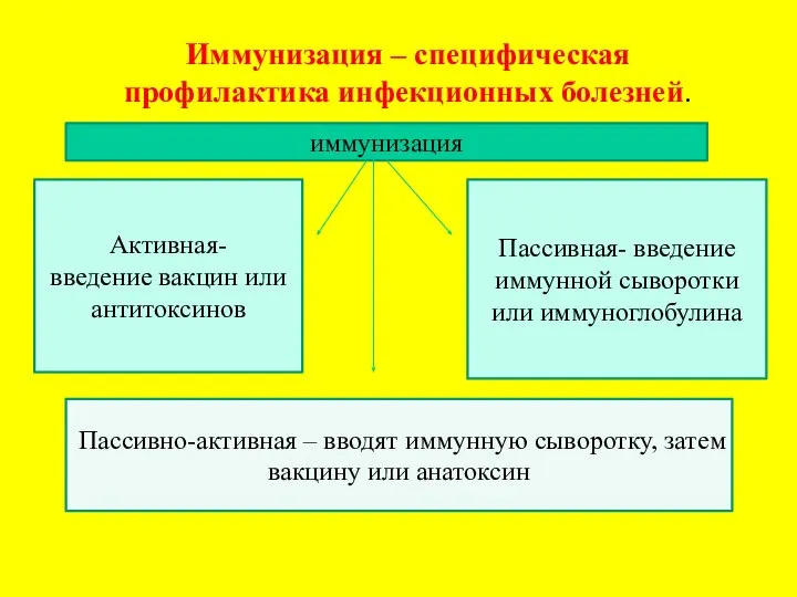 Иммунизация – специфическая профилактика инфекционных болезней. иммунизация Активная- введение вакцин или