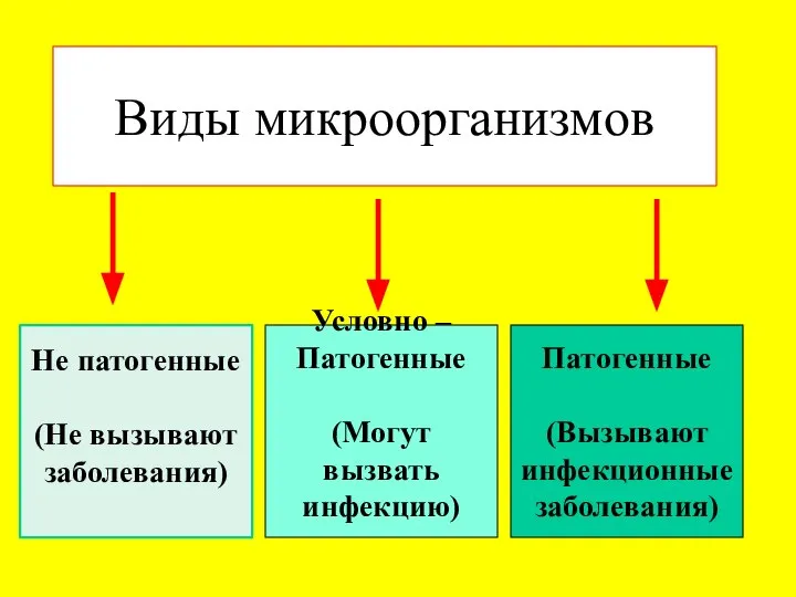 Виды микроорганизмов Не патогенные (Не вызывают заболевания) Условно – Патогенные (Могут