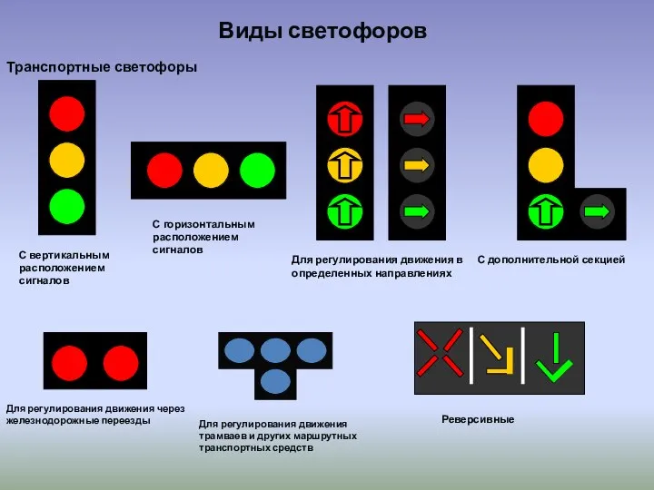 Виды светофоров Транспортные светофоры С вертикальным расположением сигналов Для регулирования движения