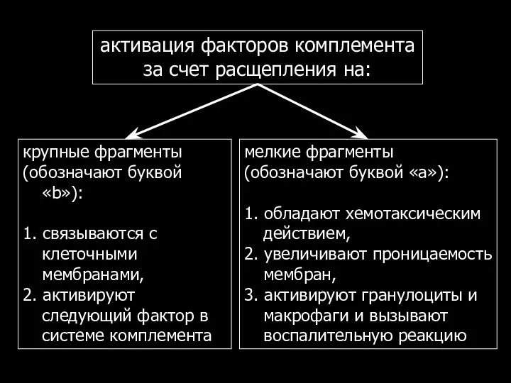 активация факторов комплемента за счет расщепления на: крупные фрагменты (обозначают буквой