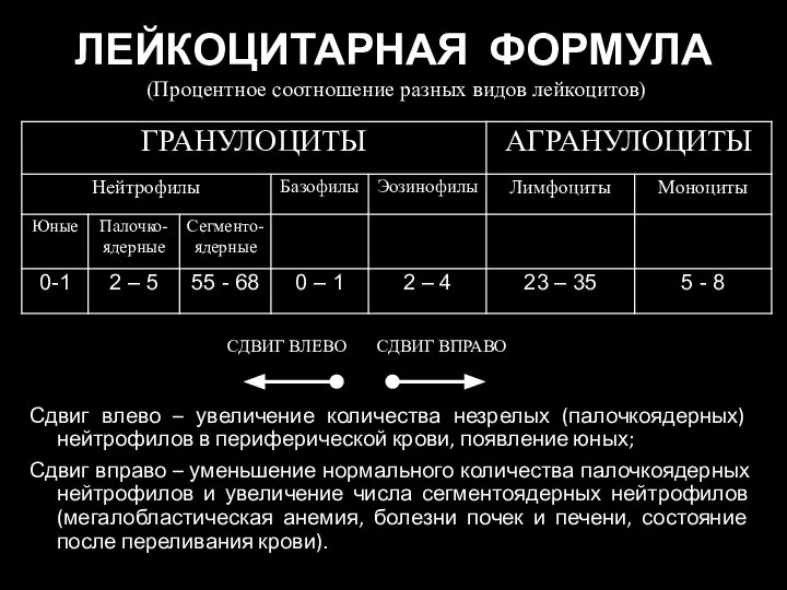 ЛЕЙКОЦИТАРНАЯ ФОРМУЛА (Процентное соотношение разных видов лейкоцитов) Сдвиг влево – увеличение