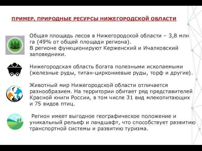 Общая площадь лесов в Нижегородской области – 3,8 млн га (49%