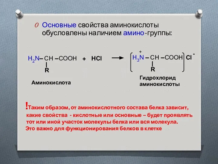 Основные свойства аминокислоты обусловлены наличием амино-группы: !Таким образом, от аминокислотного состава