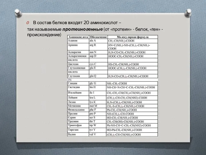 В состав белков входят 20 аминокислот – так называемые протеиногенные (от