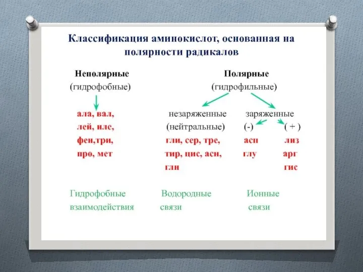 Классификация аминокислот Т