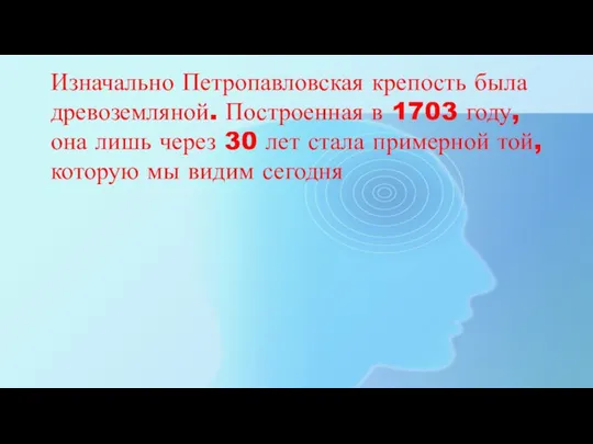 Изначально Петропавловская крепость была древоземляной. Построенная в 1703 году, она лишь