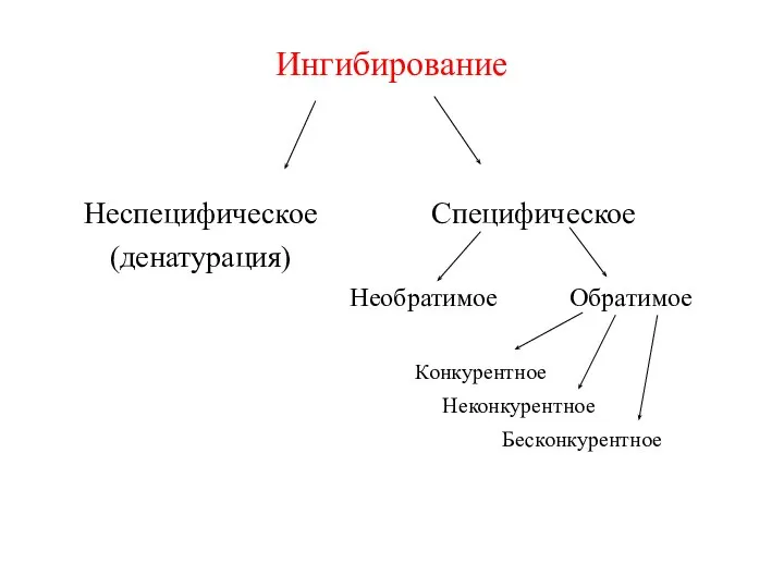 Ингибирование Неспецифическое (денатурация) Специфическое Необратимое Обратимое Конкурентное Неконкурентное Бесконкурентное