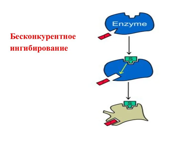 Бесконкурентное ингибирование