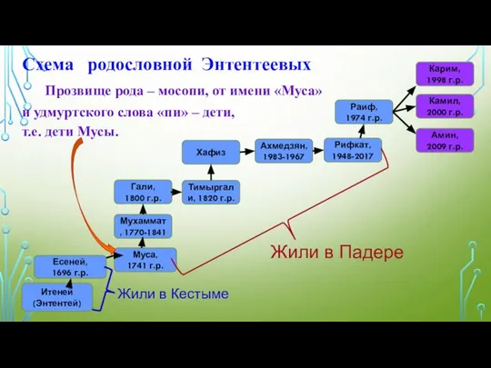 Схема родословной Энтентеевых Прозвище рода – мосопи, от имени «Муса» и