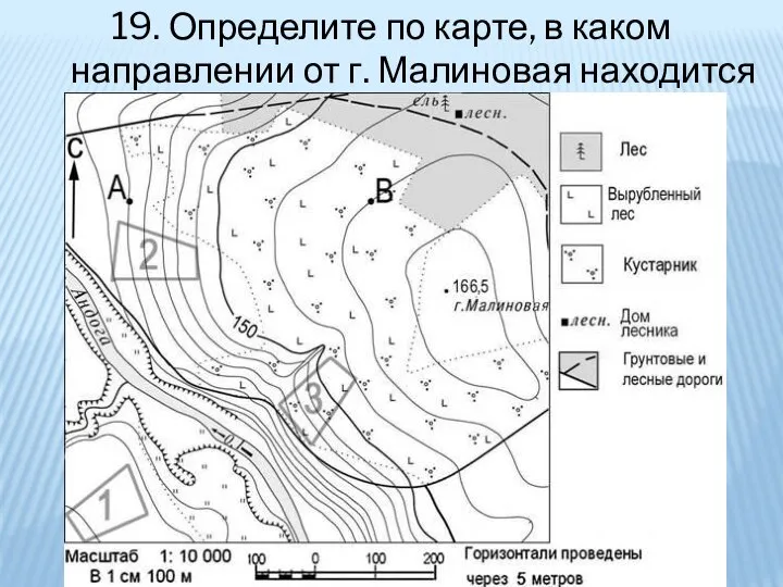 19. Определите по карте, в каком направлении от г. Малиновая находится дом лесника.