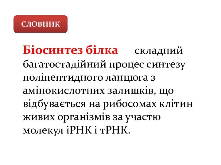 Біосинтез білка — складний багатостадійний процес синтезу поліпептидного ланцюга з амінокислотних