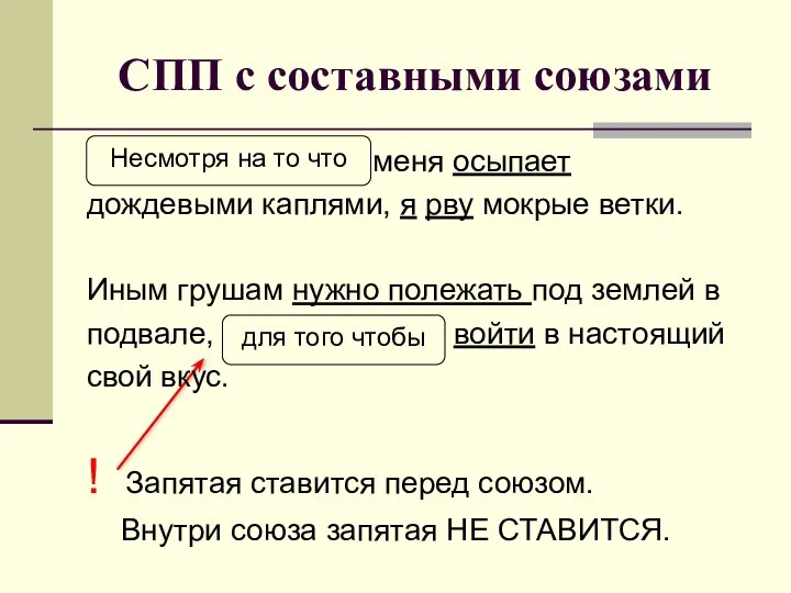 СПП с составными союзами Несмотря на то что меня осыпает дождевыми