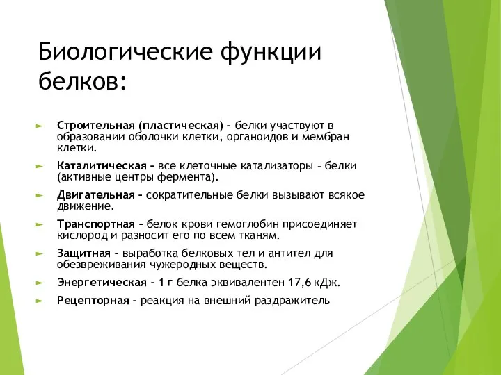 Биологические функции белков: Строительная (пластическая) – белки участвуют в образовании оболочки