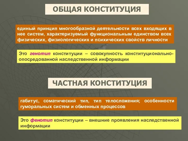 ОБЩАЯ КОНСТИТУЦИЯ единый принцип многообразной деятельности всех входящих в нее систем,