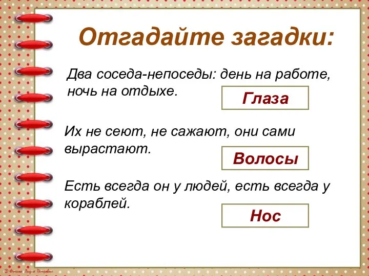 Два соседа-непоседы: день на работе, ночь на отдыхе. Их не сеют,