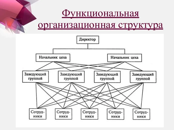 Функциональная организационная структура