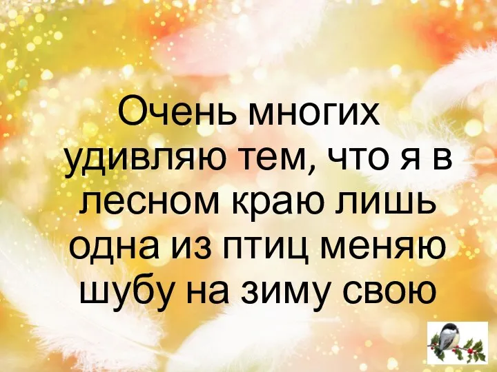 Очень многих удивляю тем, что я в лесном краю лишь одна