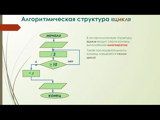 Алгоритмическая структура «цикл» В алгоритмическую структуру «цикл» входит серия команд, выполняемая