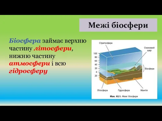 Межі біосфери Біосфера займає верхню частину літосфери, нижню частину атмосфери і всю гідросферу