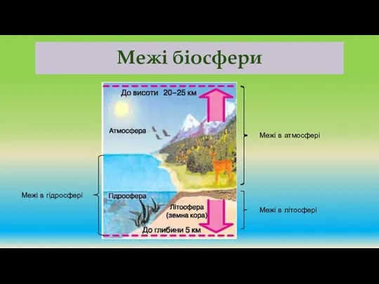 Межі біосфери Межі в літосфері Межі в атмосфері Межі в гідросфері