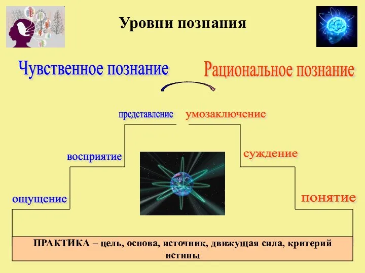 Уровни познания восприятие умозаключение представление ощущение понятие суждение Рациональное познание Чувственное