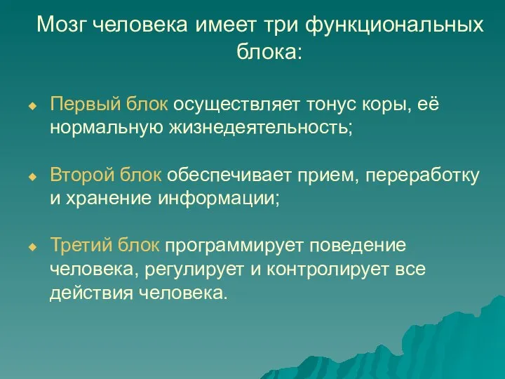 Мозг человека имеет три функциональных блока: Первый блок осуществляет тонус коры,