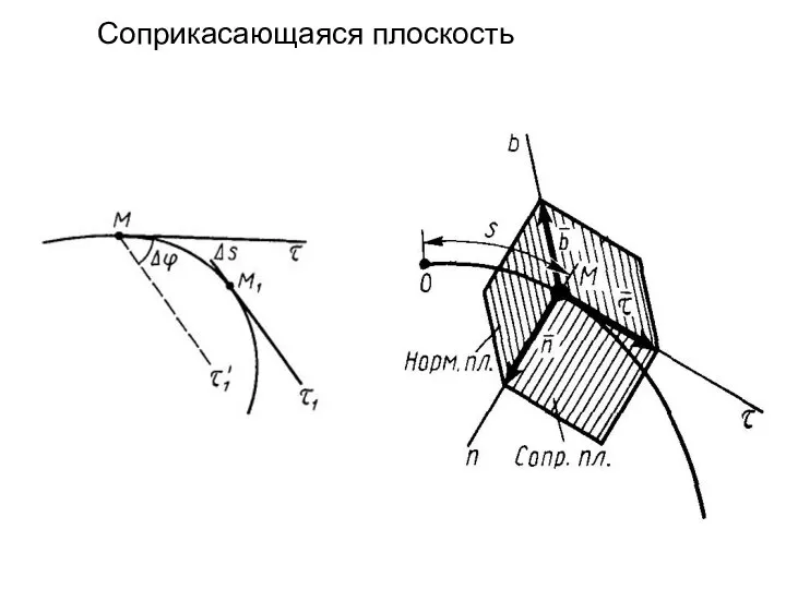 Соприкасающаяся плоскость