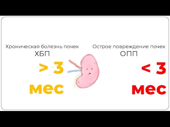 Хроническая болезнь почек ХБП Острое повреждение почек ОПП > 3 мес