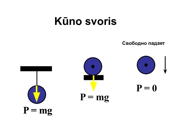 Kūno svoris Свободно падает