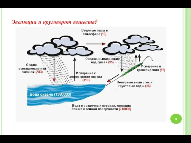 Эволюция и круговорот веществ?