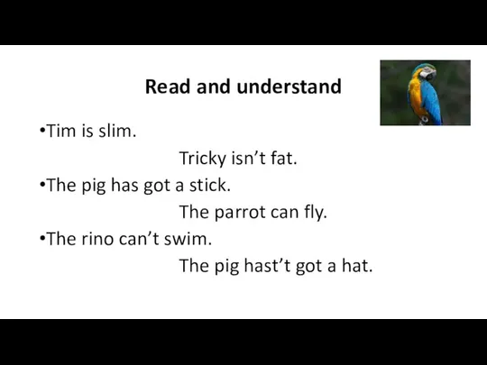 Read and understand Tim is slim. Tricky isn’t fat. The pig