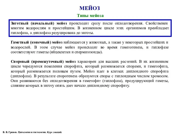 МЕЙОЗ Типы мейоза Зиготный (начальный) мейоз происходит сразу после оплодотворения. Свойственен