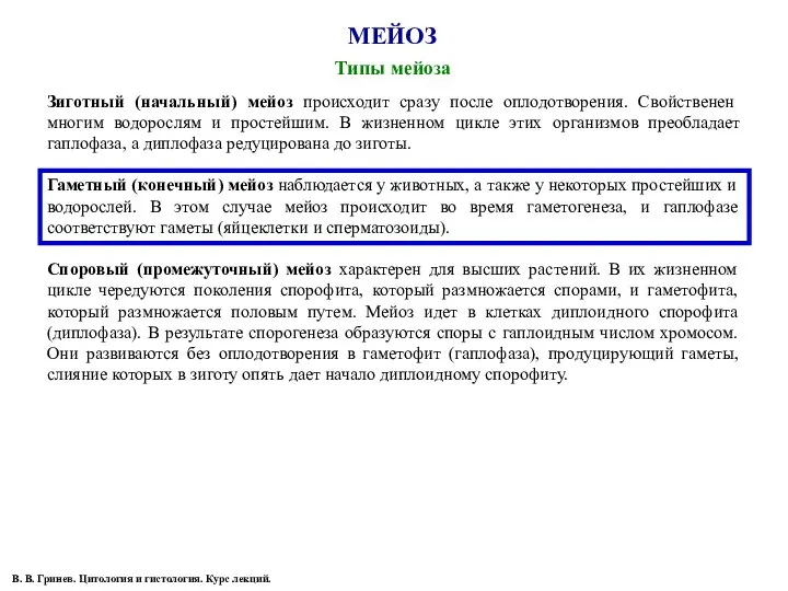 МЕЙОЗ Типы мейоза Зиготный (начальный) мейоз происходит сразу после оплодотворения. Свойственен