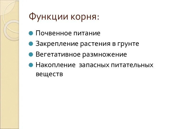 Функции корня: Почвенное питание Закрепление растения в грунте Вегетативное размножение Накопление запасных питательных веществ