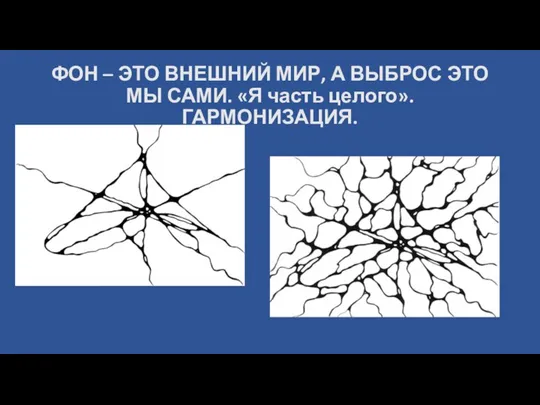 ФОН – ЭТО ВНЕШНИЙ МИР, А ВЫБРОС ЭТО МЫ САМИ. «Я часть целого». ГАРМОНИЗАЦИЯ.