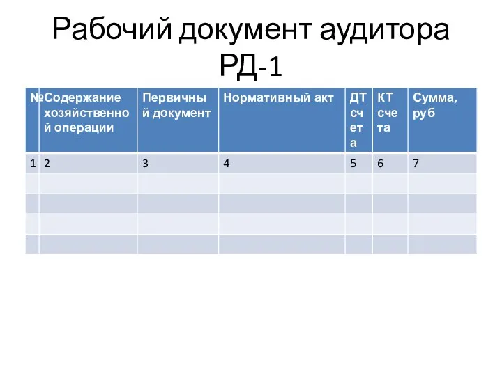 Рабочий документ аудитора РД-1