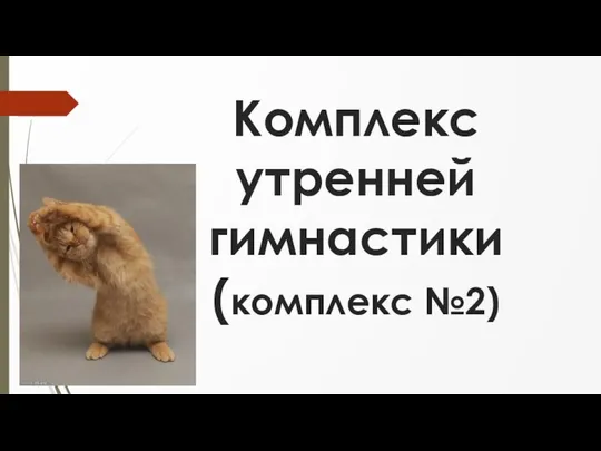 Комплекс утренней гимнастики (комплекс №2)