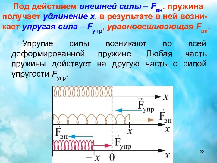 Упругие силы возникают во всей деформированной пружине. Любая часть пружины действует