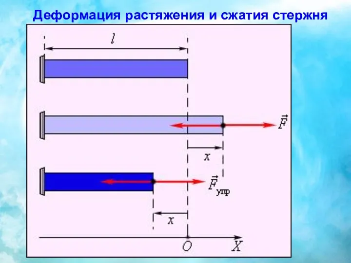 Деформация растяжения и сжатия стержня