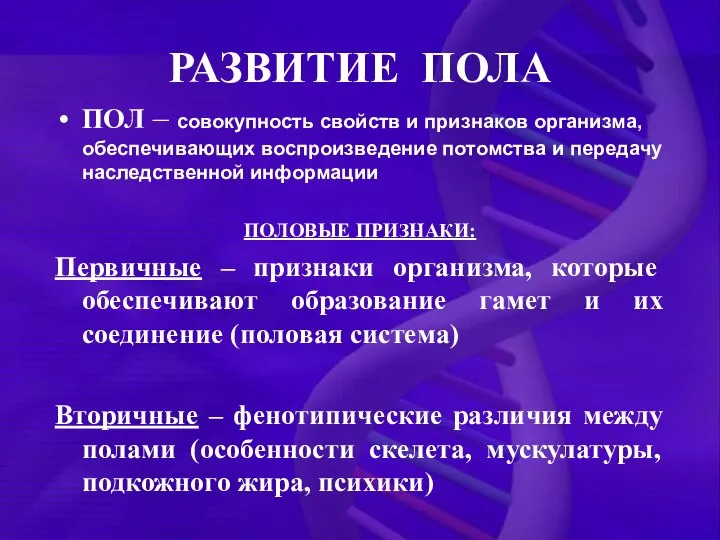 РАЗВИТИЕ ПОЛА ПОЛ – совокупность свойств и признаков организма, обеспечивающих воспроизведение