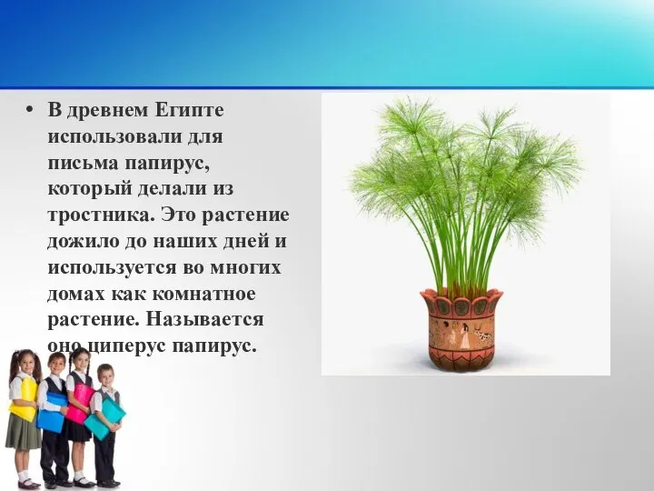 В древнем Египте использовали для письма папирус, который делали из тростника.