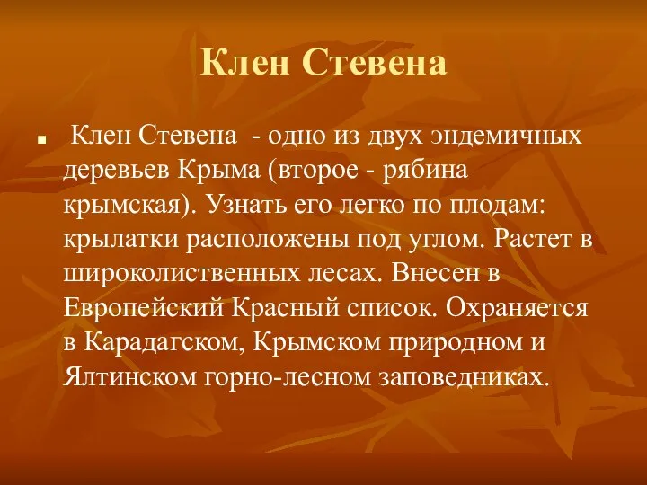 Клен Стевена Клен Стевена - одно из двух эндемичных деревьев Крыма