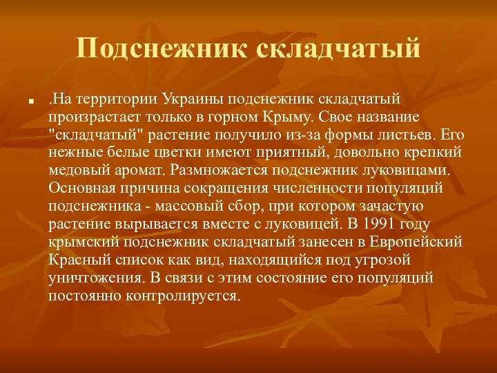 Подснежник складчатый .На территории Украины подснежник складчатый произрастает только в горном