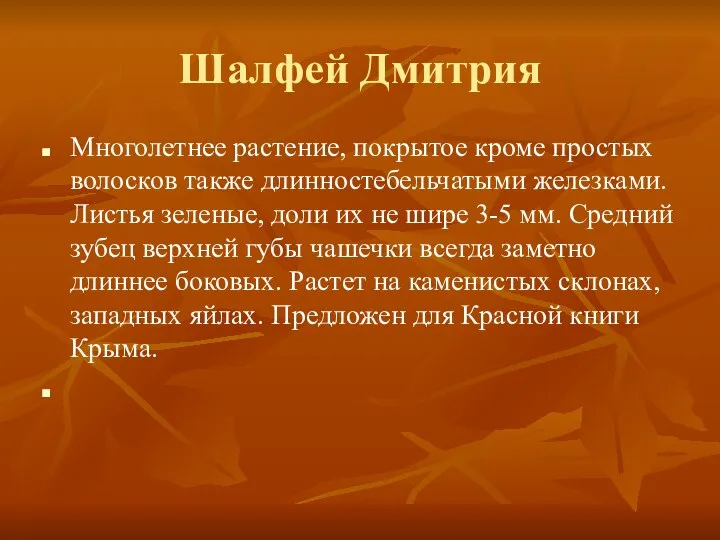 Шалфей Дмитрия Многолетнее растение, покрытое кроме простых волосков также длинностебельчатыми железками.