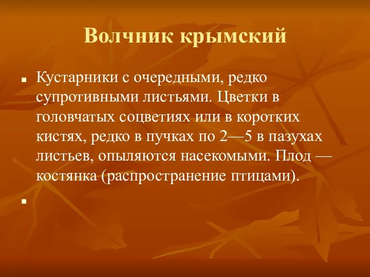 Волчник крымский Кустарники с очередными, редко супротивными листьями. Цветки в головчатых