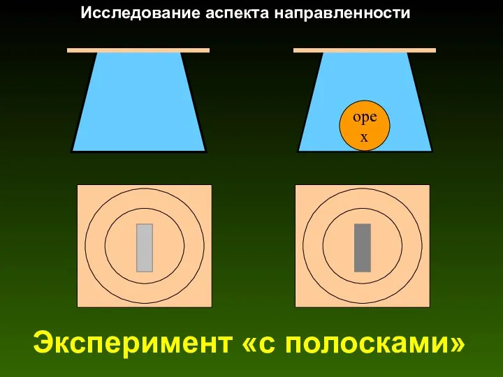 Эксперимент «с полосками» орех Исследование аспекта направленности