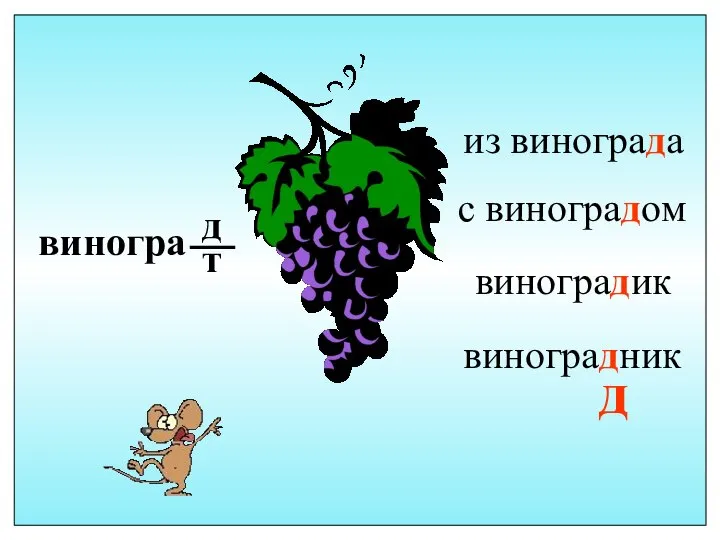 виногра д т с виноградом виноградик виноградник из винограда д